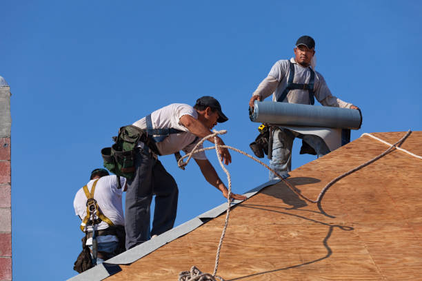 Sealant for Roof in Twin City, GA